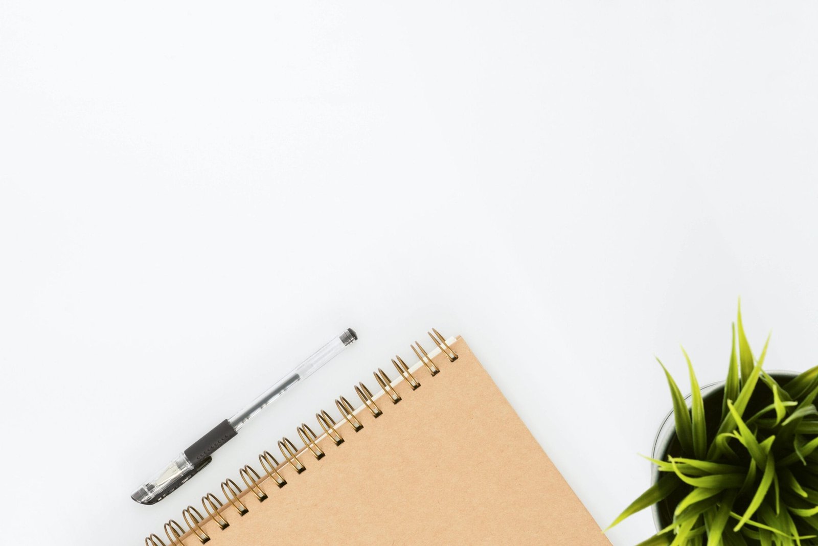 Image hover effect image